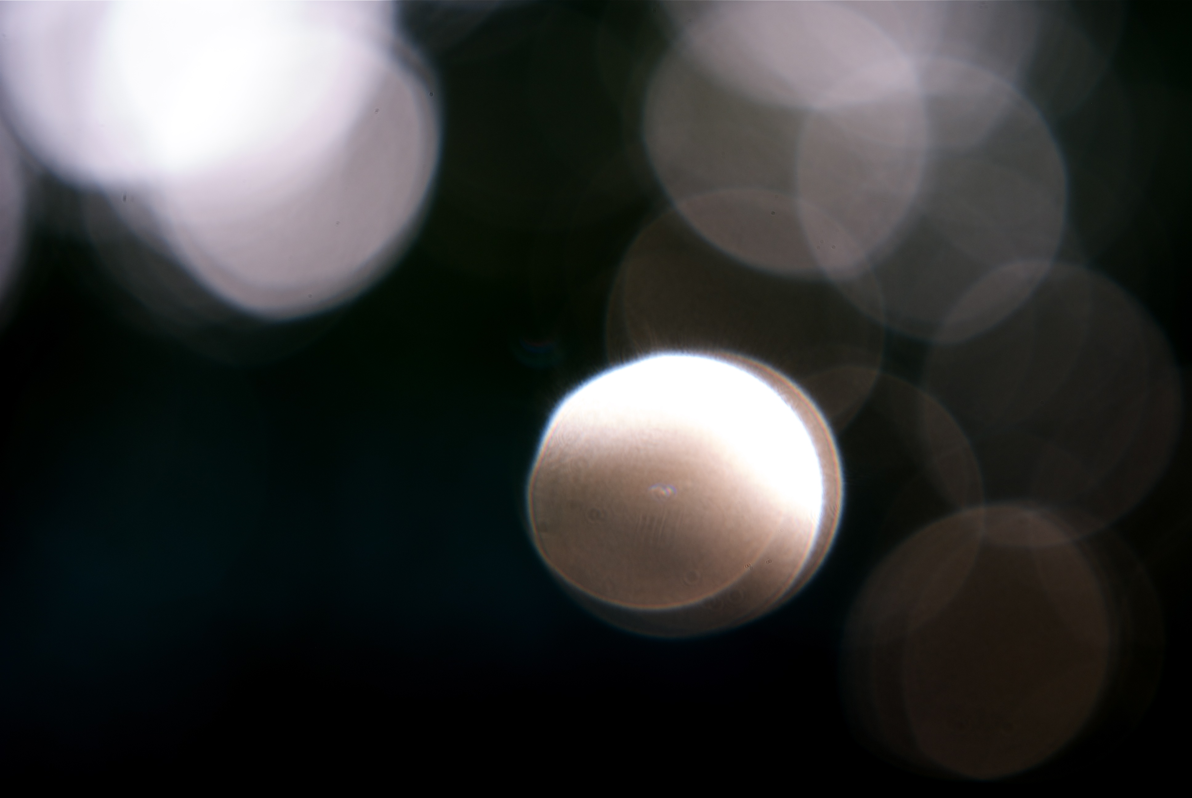 Spots of Light 1