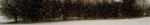 cropped-snowtreeline.jpg