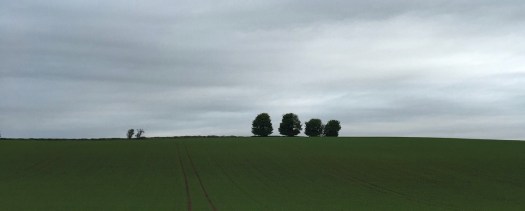 Screen Shot 2017-03-17 at 05.13.56