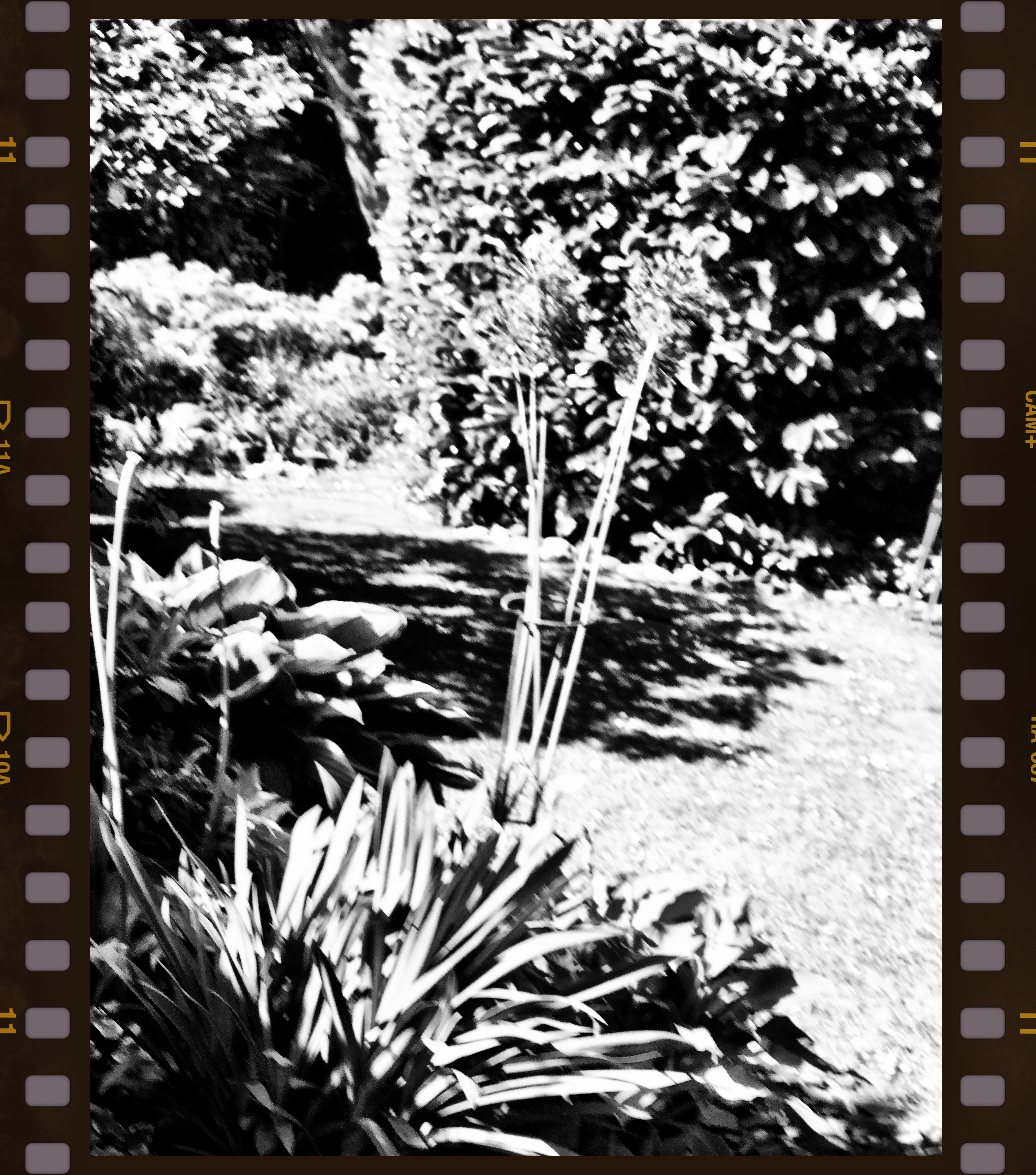 MWM #38 Form and Texture